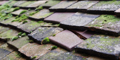 Llanddarog roof repair costs